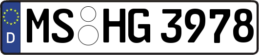MS-HG3978