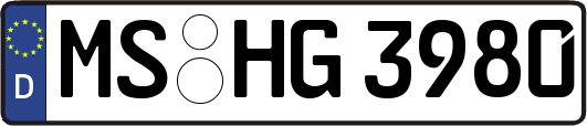 MS-HG3980