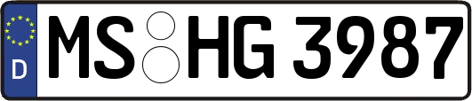 MS-HG3987