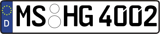MS-HG4002