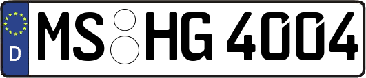 MS-HG4004