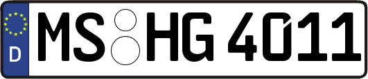 MS-HG4011
