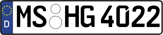 MS-HG4022