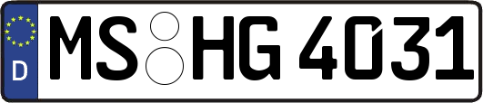 MS-HG4031