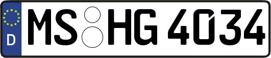 MS-HG4034