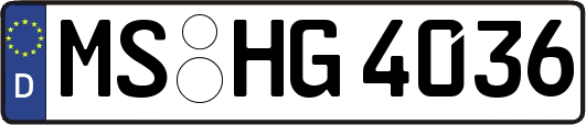 MS-HG4036