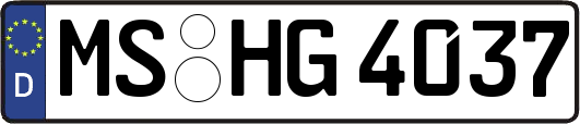 MS-HG4037