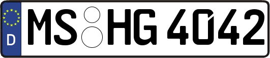 MS-HG4042
