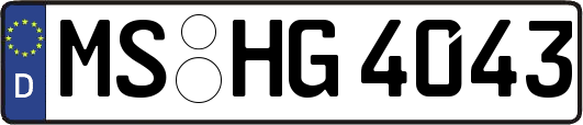 MS-HG4043