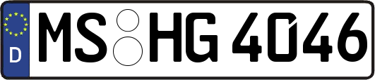 MS-HG4046