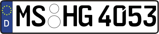 MS-HG4053