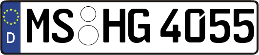 MS-HG4055