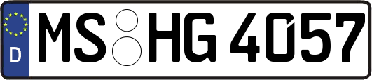 MS-HG4057