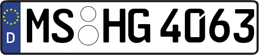 MS-HG4063