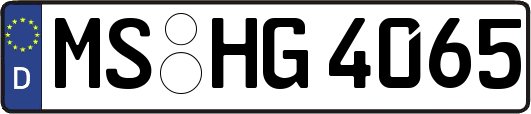 MS-HG4065