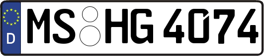 MS-HG4074
