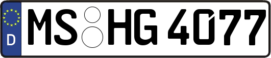 MS-HG4077
