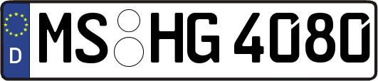 MS-HG4080