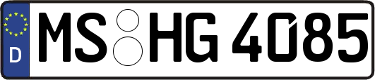 MS-HG4085