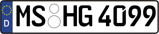 MS-HG4099