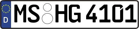 MS-HG4101