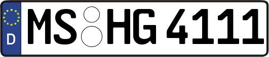 MS-HG4111