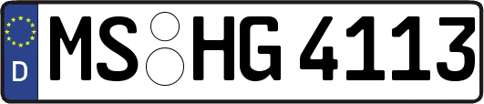 MS-HG4113