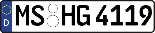MS-HG4119