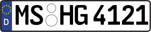 MS-HG4121