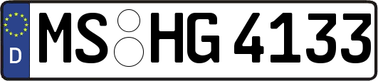 MS-HG4133