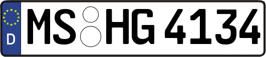 MS-HG4134