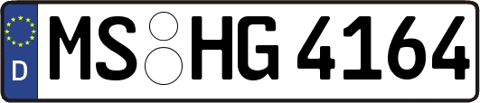 MS-HG4164