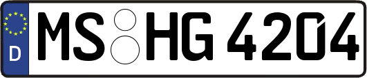 MS-HG4204