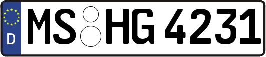 MS-HG4231