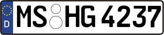 MS-HG4237