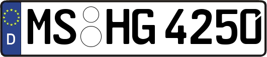 MS-HG4250