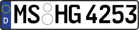MS-HG4253