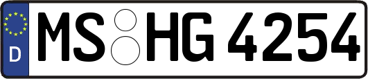 MS-HG4254