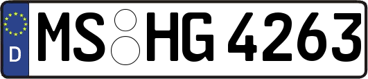 MS-HG4263