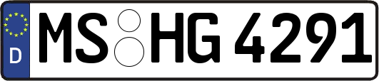 MS-HG4291
