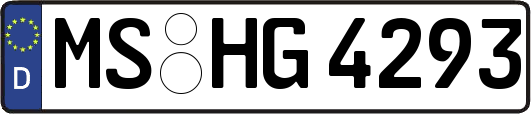 MS-HG4293