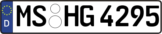 MS-HG4295