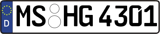 MS-HG4301