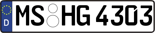 MS-HG4303