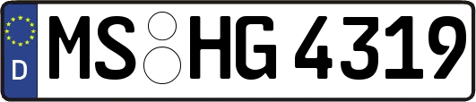 MS-HG4319