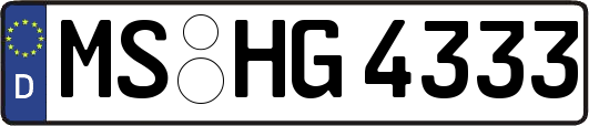 MS-HG4333