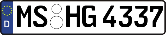 MS-HG4337