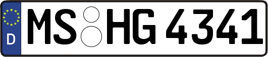 MS-HG4341
