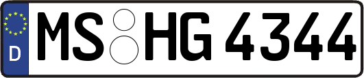 MS-HG4344