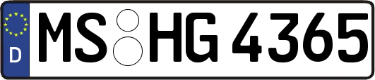MS-HG4365